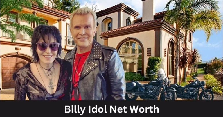 Billy Idol Net Worth